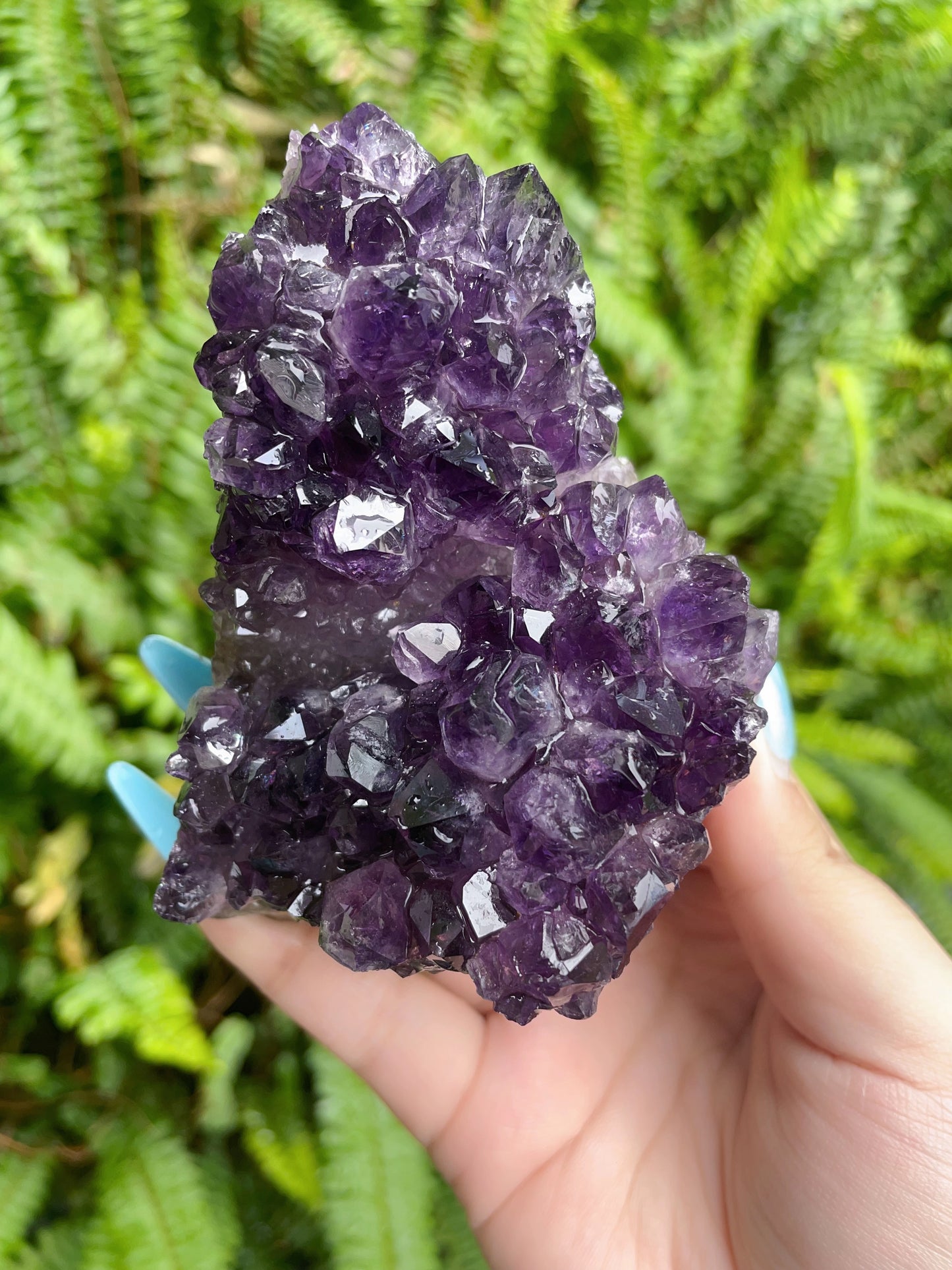 Amethyst cluster