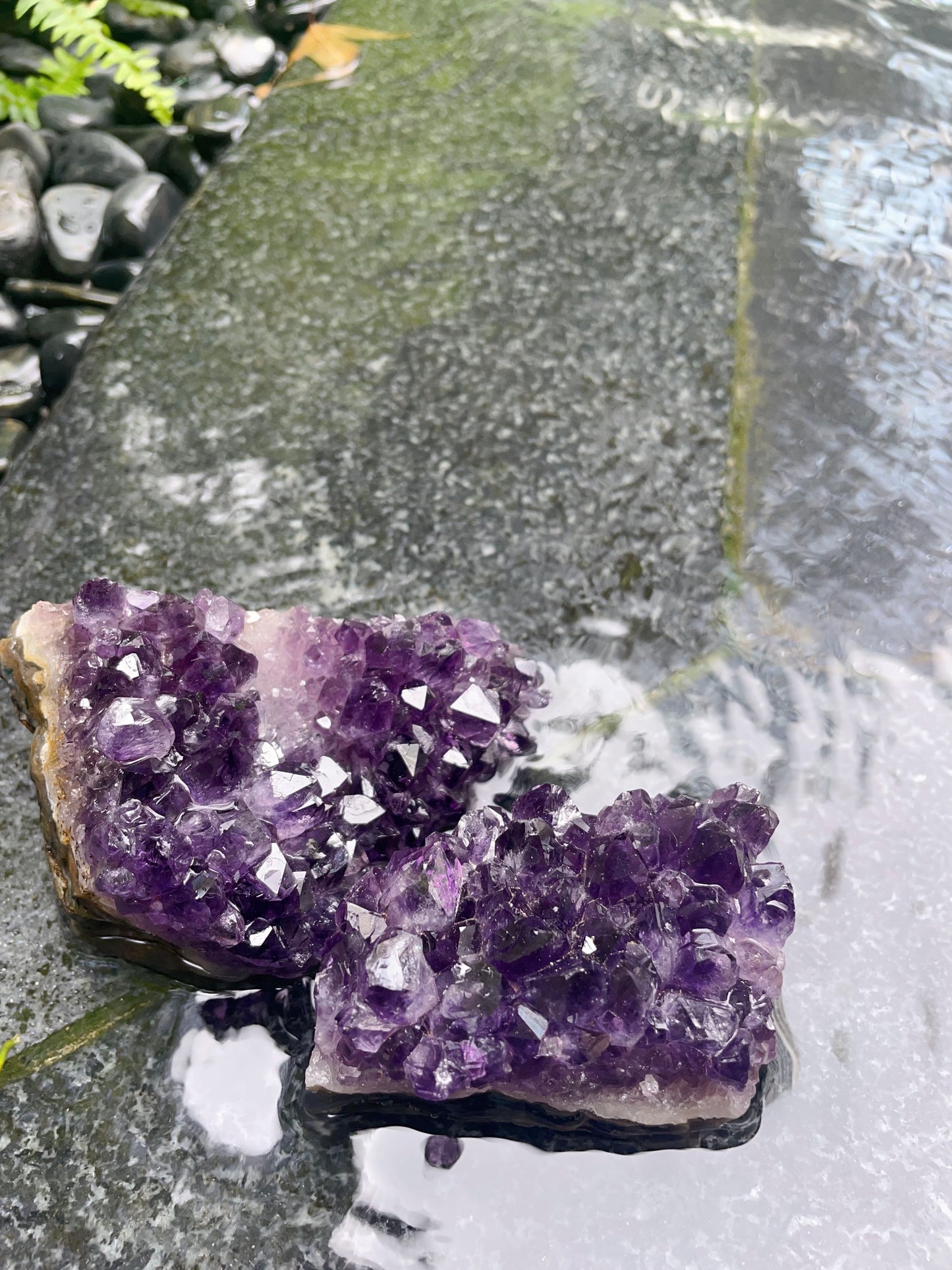 Amethyst cluster